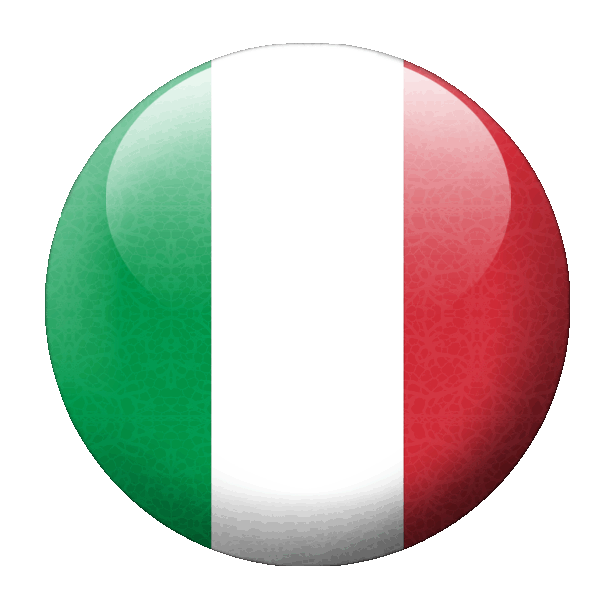 Перевод справки об отсутствии судимости для Италии